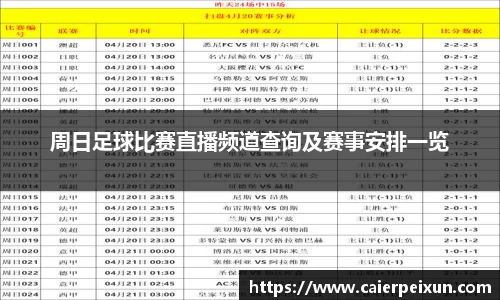 纳米体育网址
